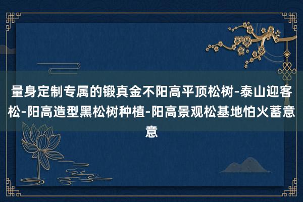 量身定制专属的锻真金不阳高平顶松树-泰山迎客松-阳高造型黑松树种植-阳高景观松基地怕火蓄意